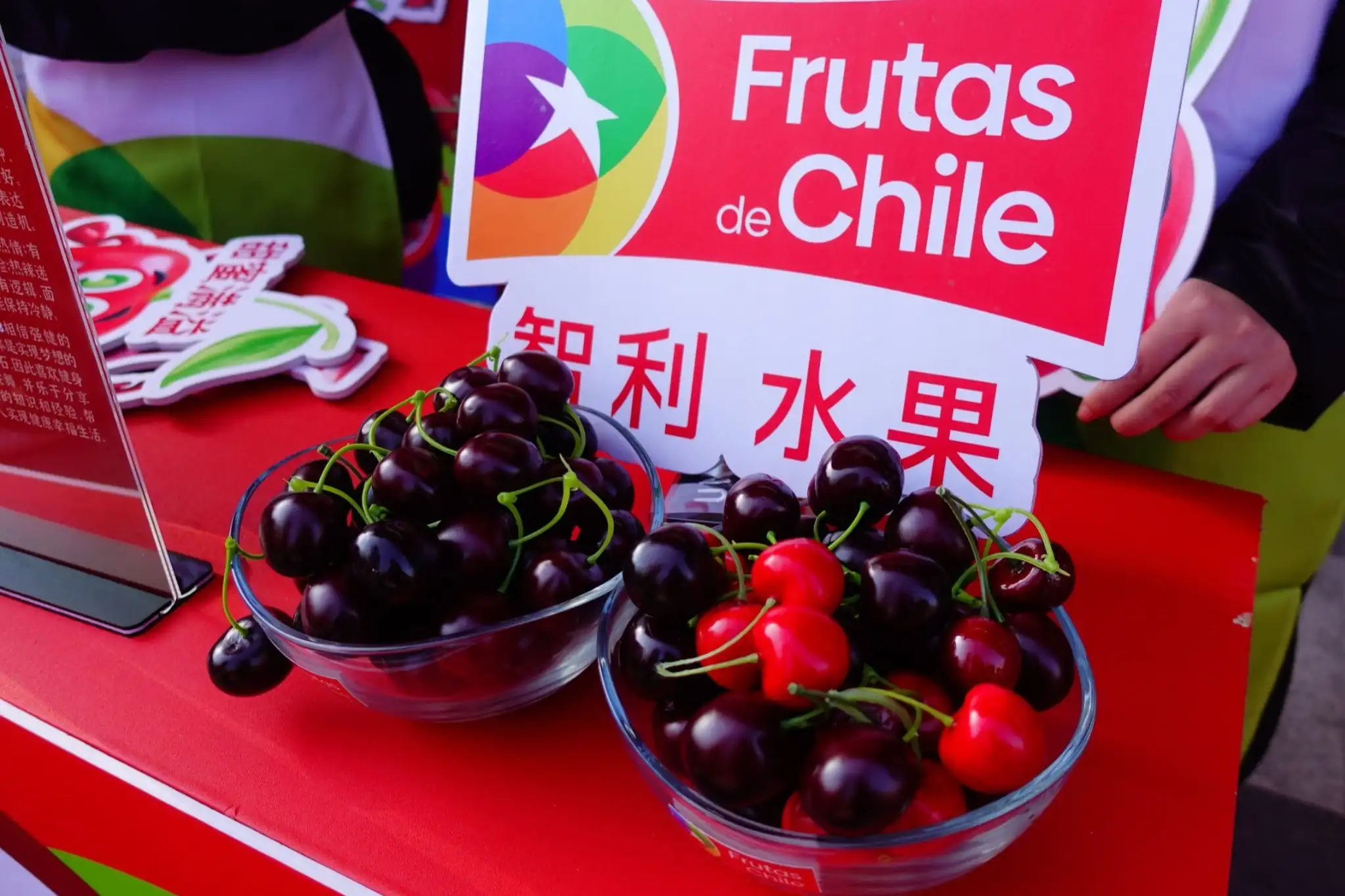 Chilean cherries crisis as oversupply pushes prices down in China