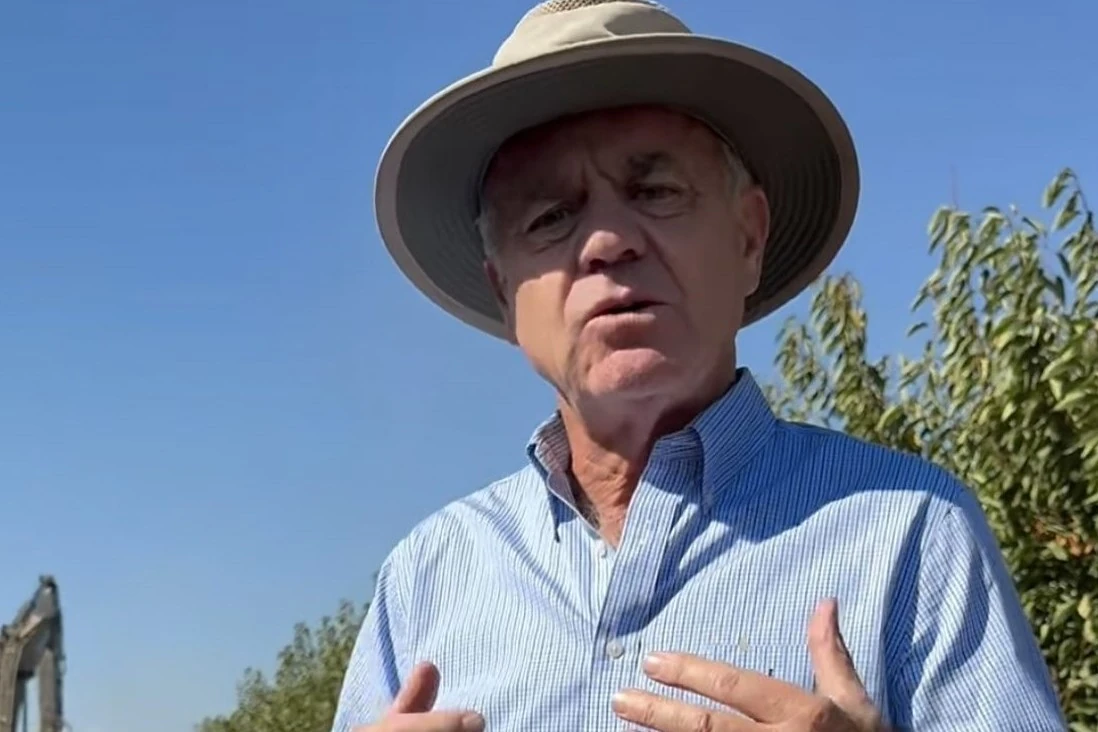 Chilean cherries: up to 30,000 hectares may be reduced to curb oversupply