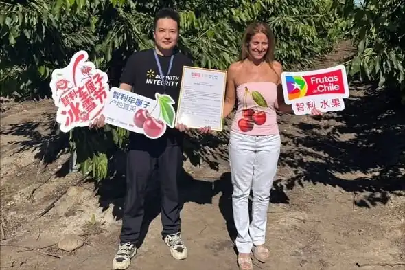 Chilean cherries: new strategy for China, USA and India between sport and health