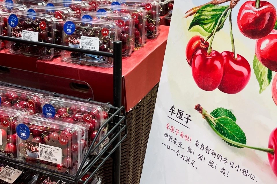Chilean cherries in Guangzhou: strong demand between retail sales and gifting culture