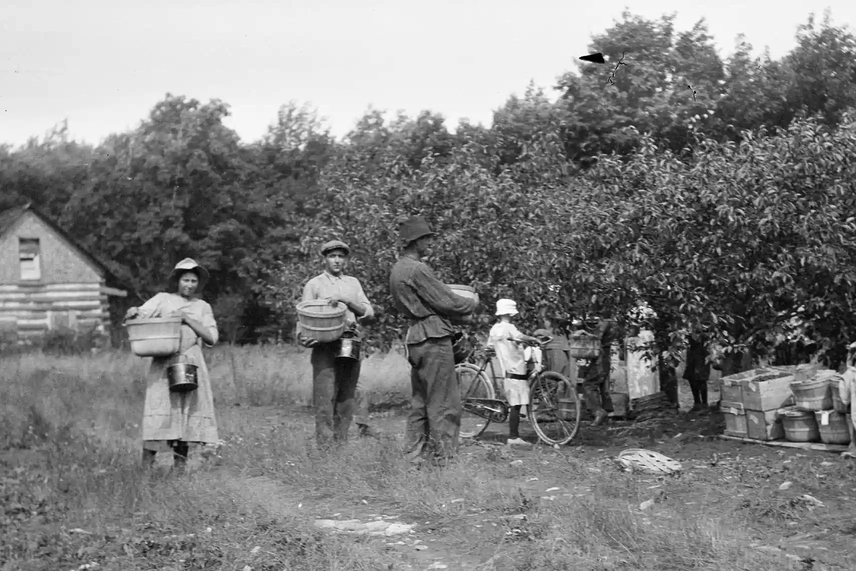 Door County cherries: history, tradition and unique flavors in Wisconsin’s heart