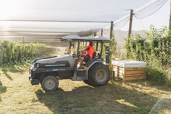 The electric orchard revolutionising cherry farming in New Zealand
