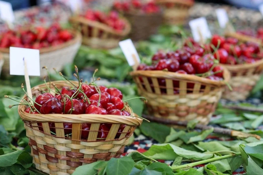 Turchia e Cile guidano l’export mondiale di ciliegie: Cina e USA tra i protagonisti