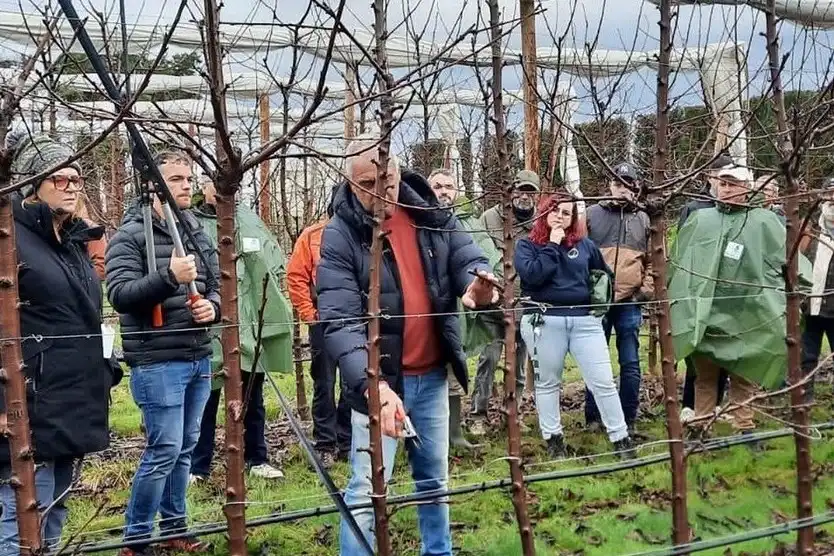 France: Salvi’s high-density cherry orchard open day draws strong interest