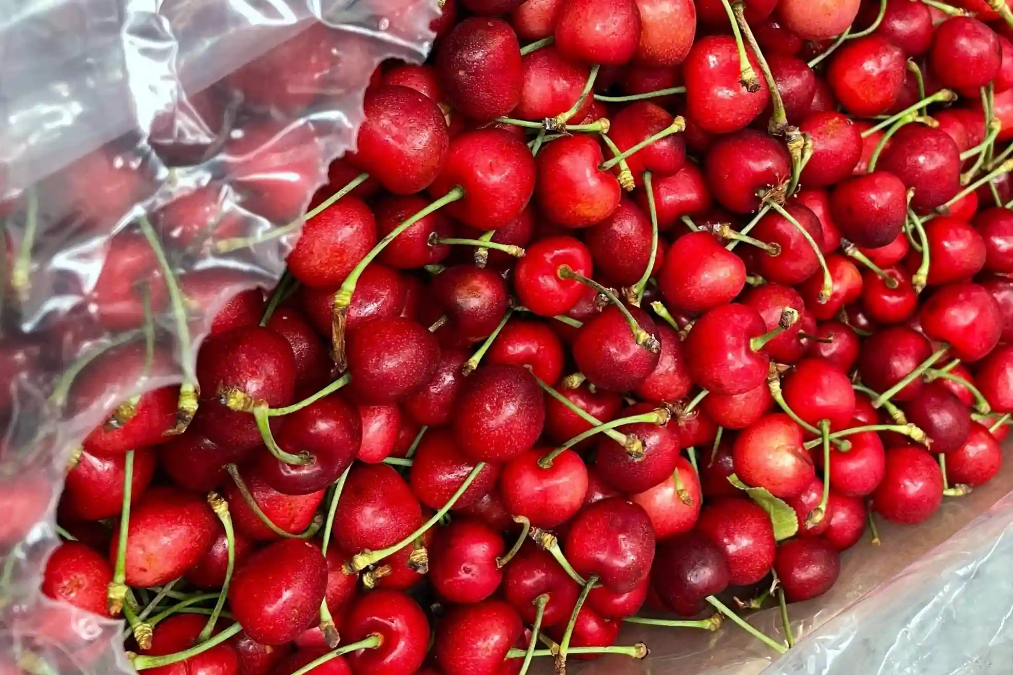 Tensioni commerciali con la Cina: le ciliegie USA puntano su Vietnam e Hong Kong