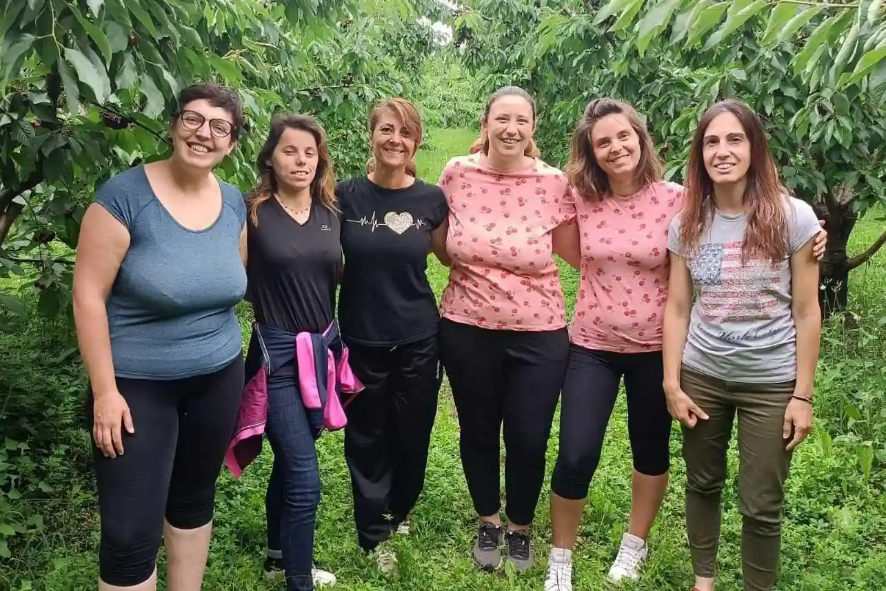 Vignola riparte dagli under 50: un progetto per salvare la ciliegia