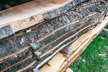 Wild cherry in Tunisia: wood quality and comparison between Tabarka and Ain Draham