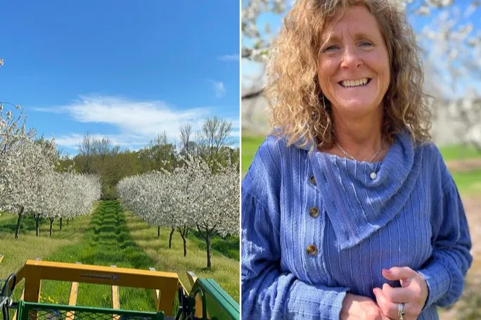 La Michigan Cherry Grower Alliance rilancia le ciliegie puntando su marketing e prezzi equi