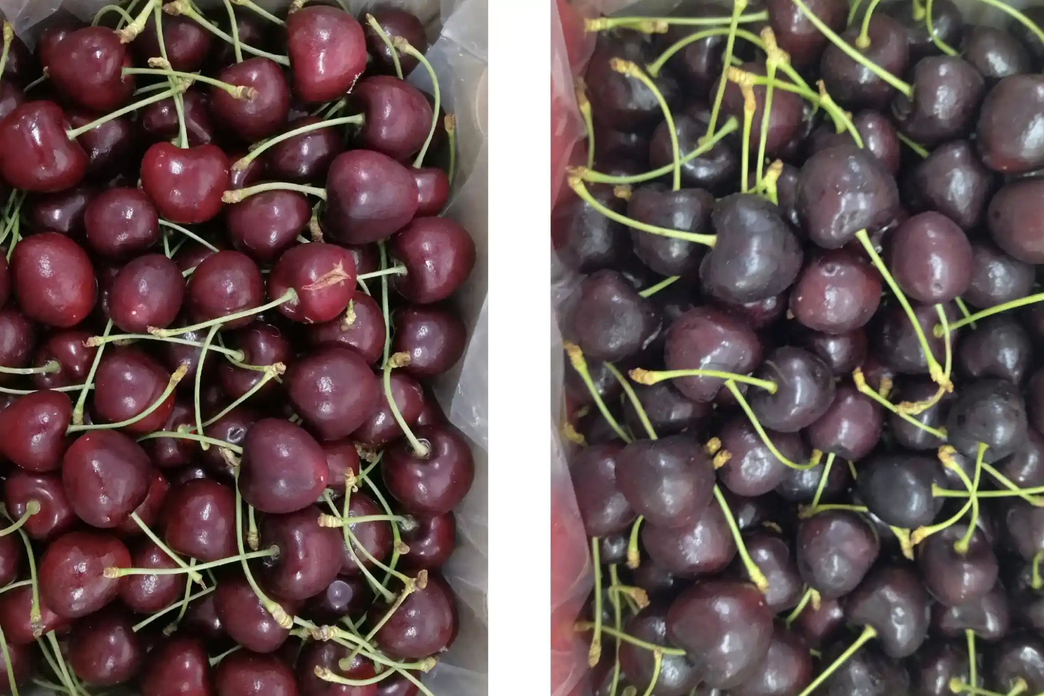 Emerging postharvest technologies: ultrasound and nanobubbles