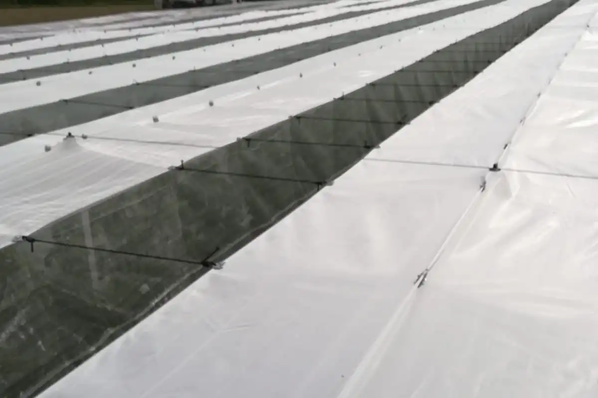 Multifunctional cherry covers: CHOICE project results from Emilia-Romagna