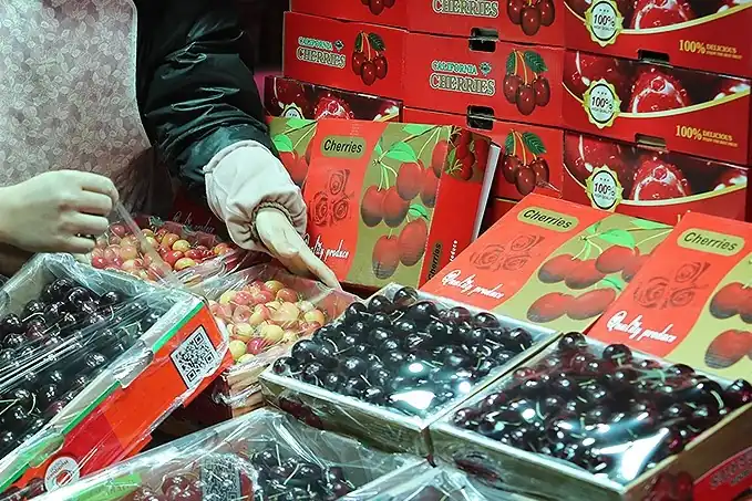 Cherries: global price crisis in 2025 hits China, Europe and the Americas