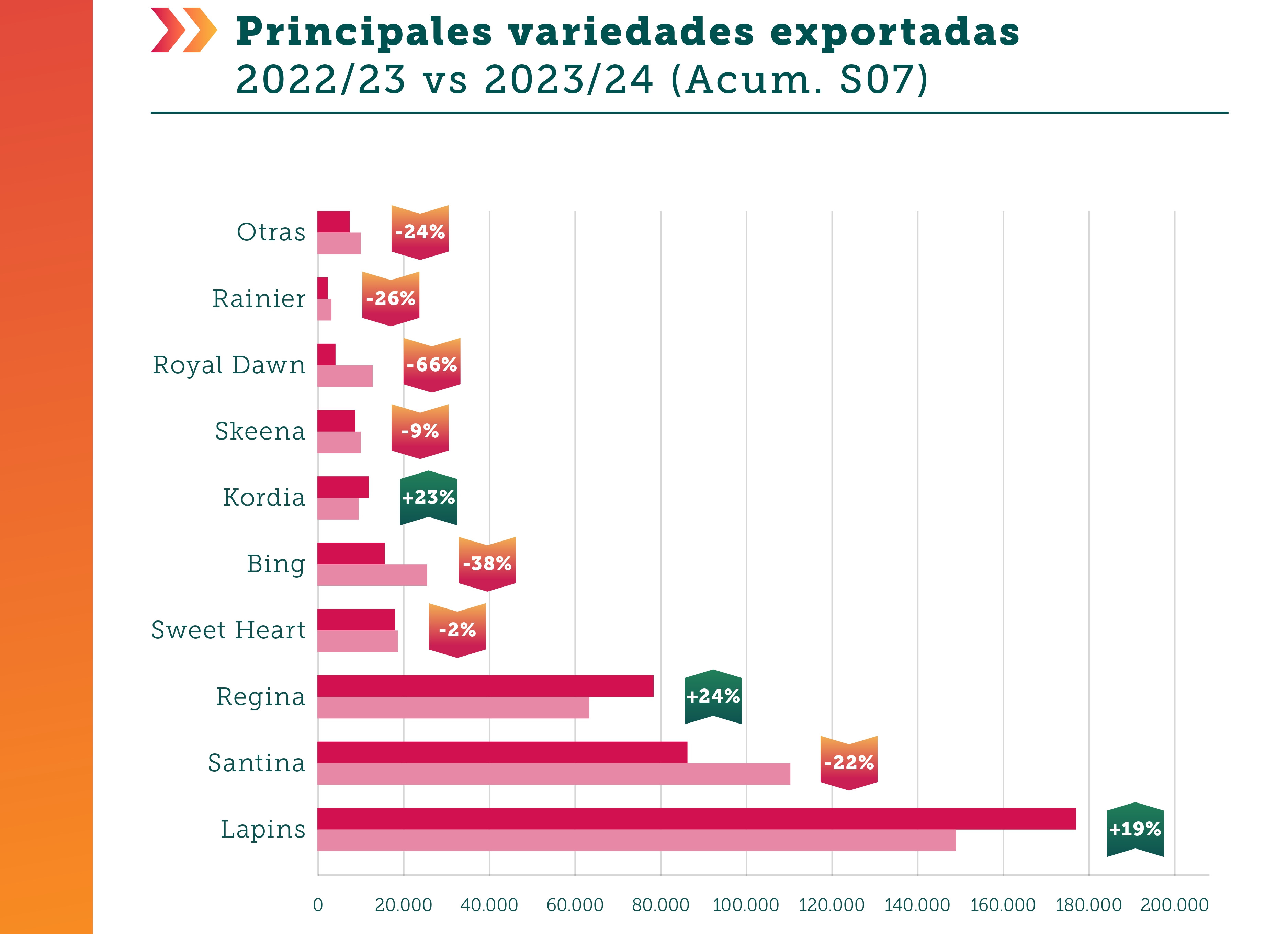 Trionfo e sfide: il contributo cileno alla stagione globale delle ciliegie nel report di Decofrut