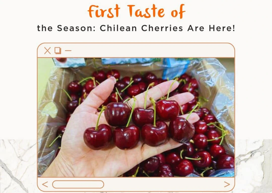 IG International brings first Chilean cherries to India