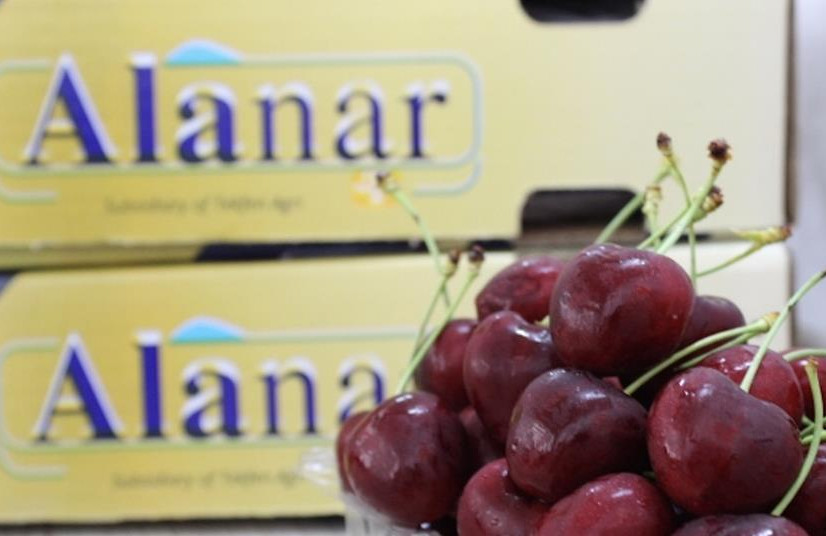 Alanar (Türkiye) anticipates volume growth of over 1,000 tonnes in 2026