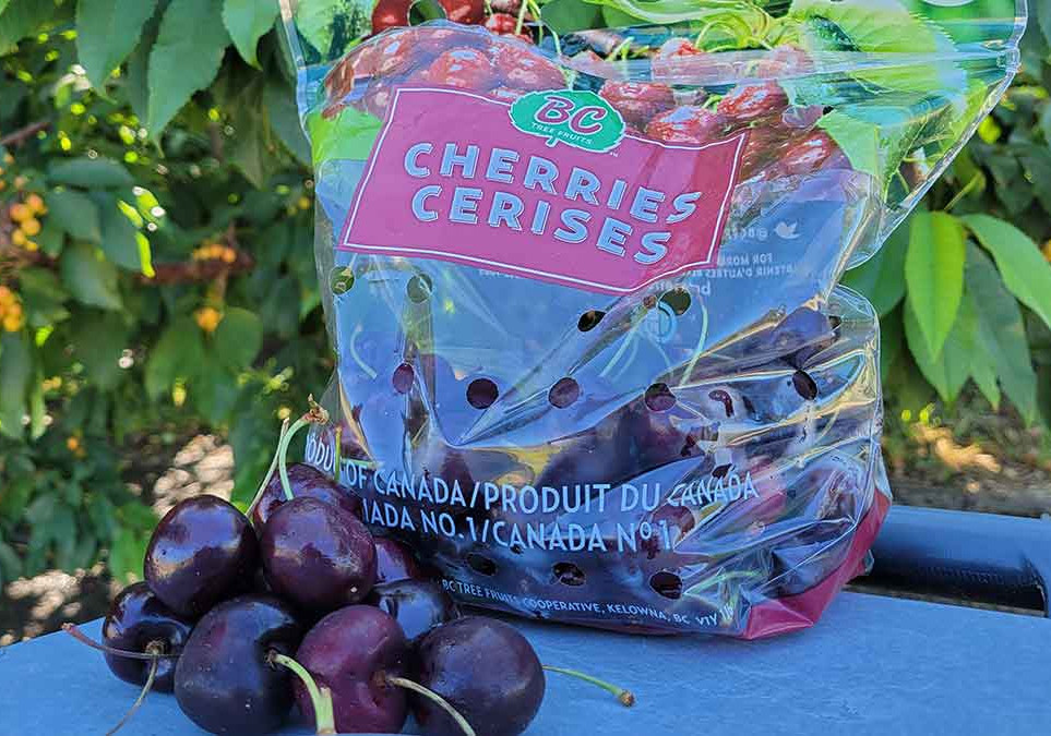 Cherry production in British Columbia: an example of Canadian success