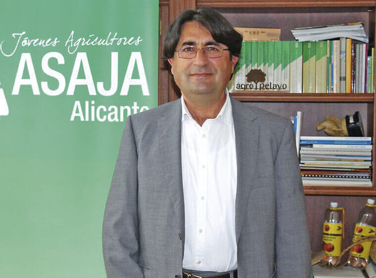Difficoltà e problemi in Spagna per la ciliegia di montagna, Asaja Alicante contro l'organizzazione regionale