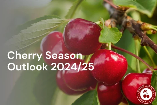 Australia's 2024 cherry season: a new beginning!