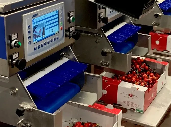 A computer vision system to assess the quality of cherries