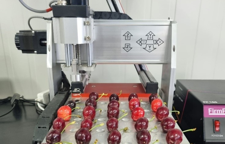 FirmPro: tecnologia avanzata per la consegna di frutta di qualità superiore fino a 55 mm