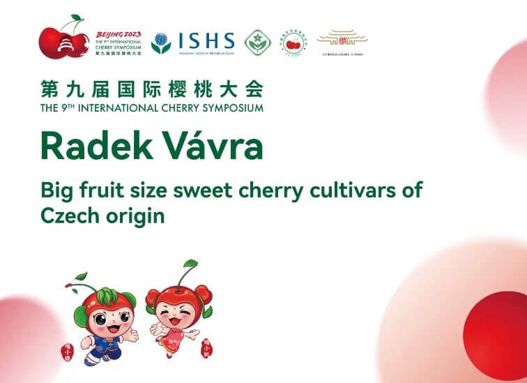 Radek Vavra: Frutti di calibro elevato per le cultivar di ciliegio di origine ceca