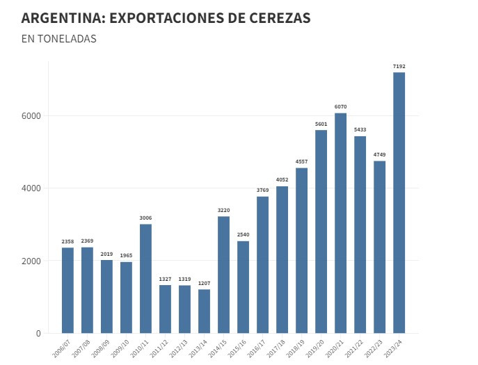Argentine season closes positively: 2024 record for exports, Chinese market share declining