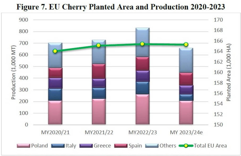 Previsioni e dati sulla stagione UE 2023/2024 grazie al report sulle drupacee dell'USDA