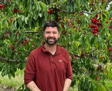 The ‘spider's web model’ applied to Chilean cherries in the Chinese market