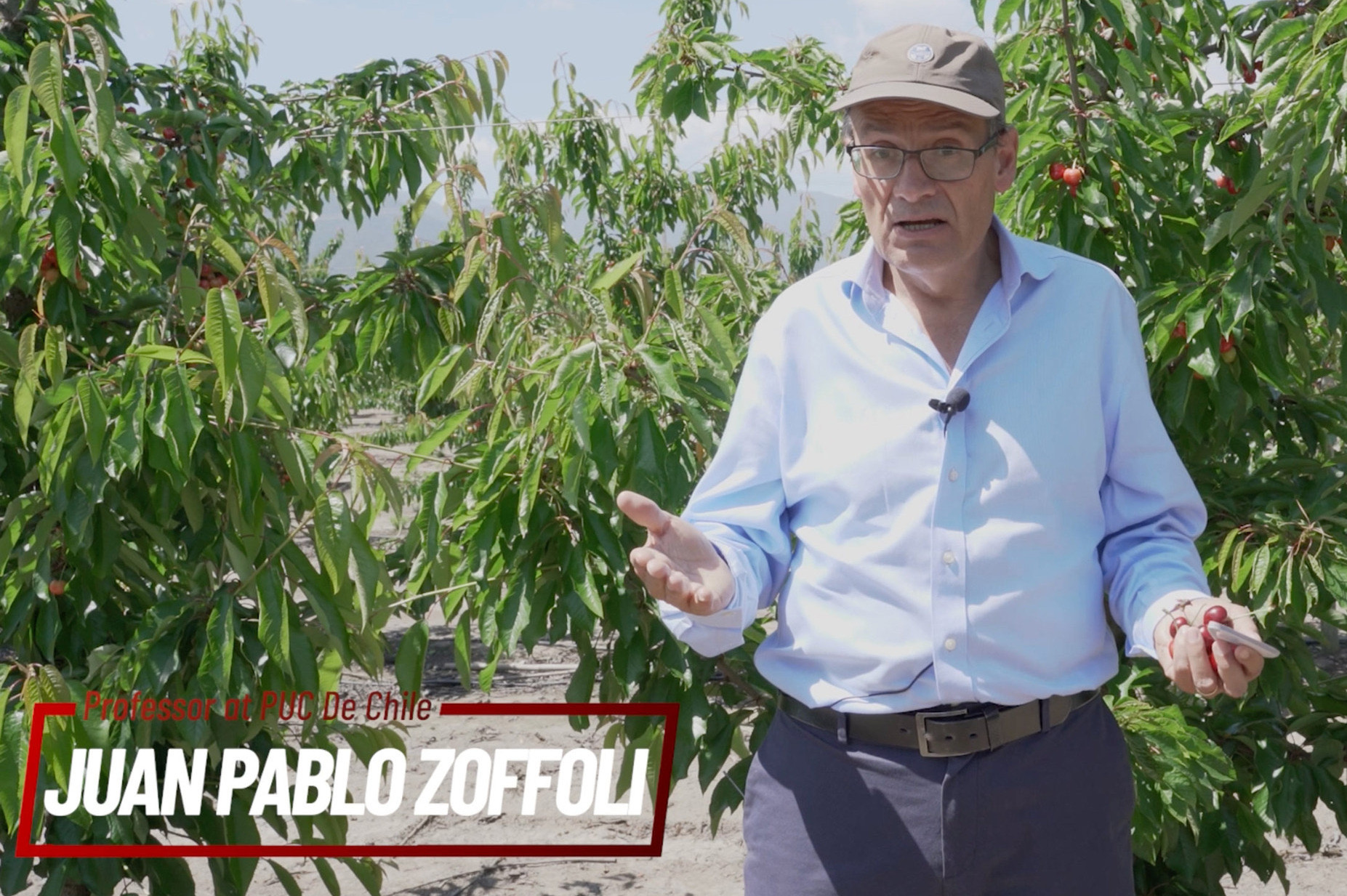 'Chilean cherries, a model to follow': the new Macfrut Academy video lecture
