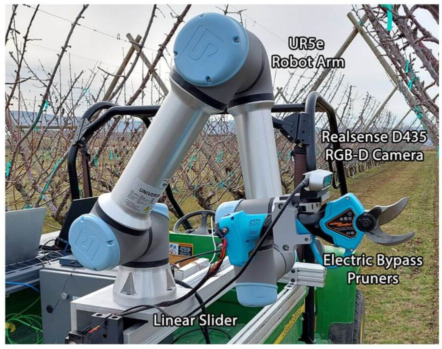 Soon the cherry trees will be pruned by robots
