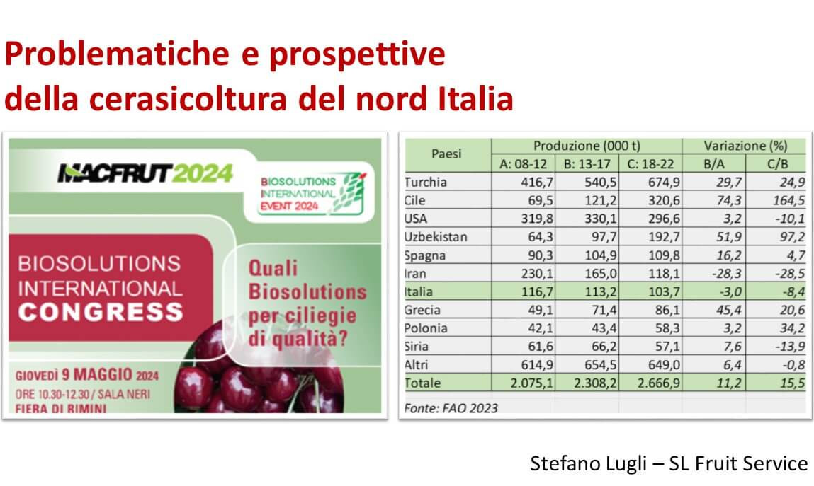 Problems and prospects for cherry growing in northern Italy: -15% of production in 15 years