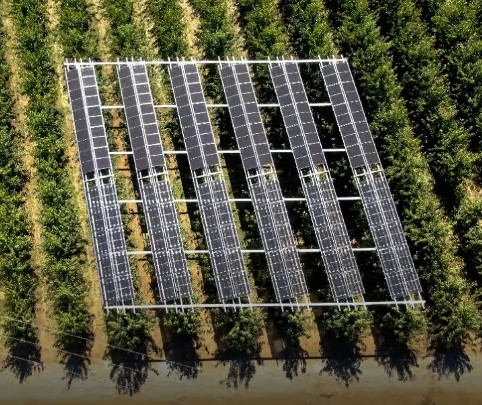 AgroPv project: semi-transparent solar panels to increase sustainability