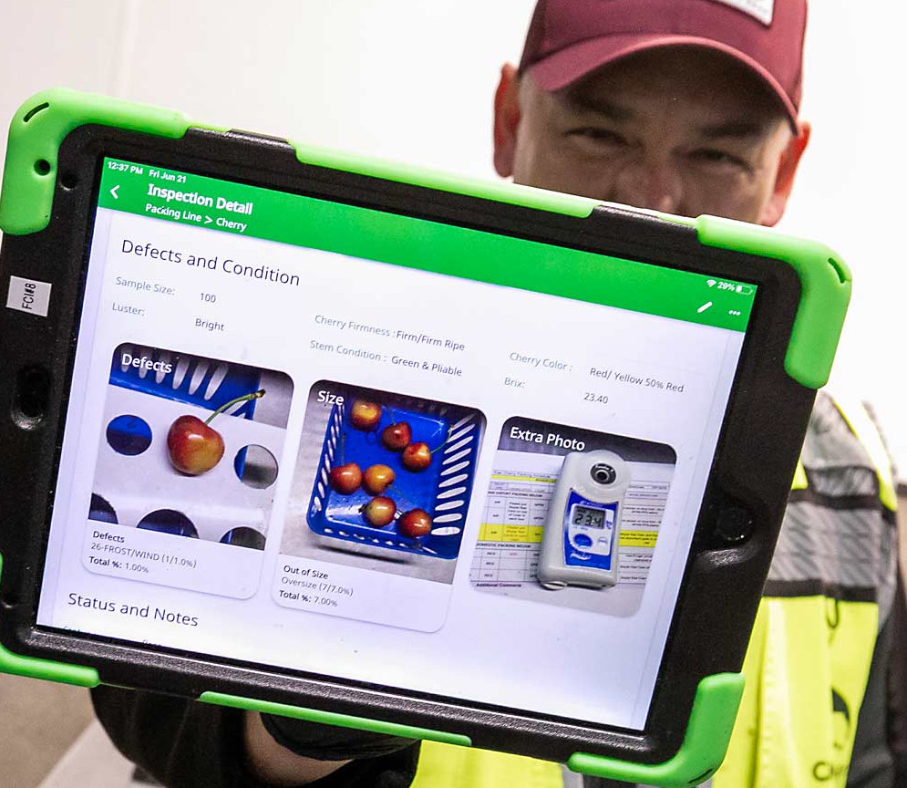 How data and digitalization are changing packaging and post-harvest lines