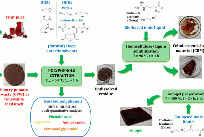 Cherry pomace can be valorised in a sustainable way