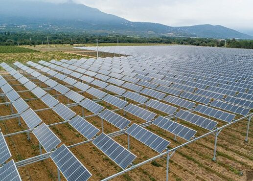 Energy and agriculture: protection and agro-photovoltaics panels for cherry orchards