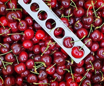 Soluble solids and acidity in cherries: the role of controlled atmosphere storage