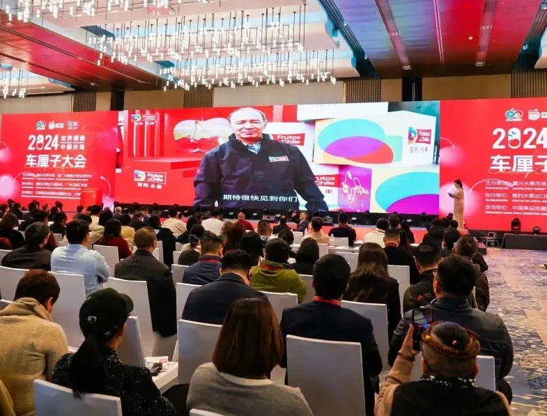 Cherry Conference in Jiaxing: Frutas de Chile shares expectations for 2025