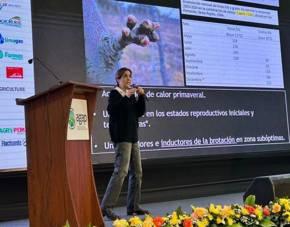 Agroclimate and target markets: key points for the development of cherry growing in Peru