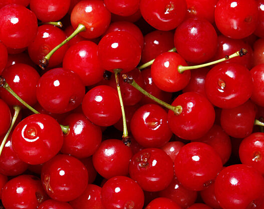 Shoreline Fruit: innovation and growth of the largest US sour cherry cooperative