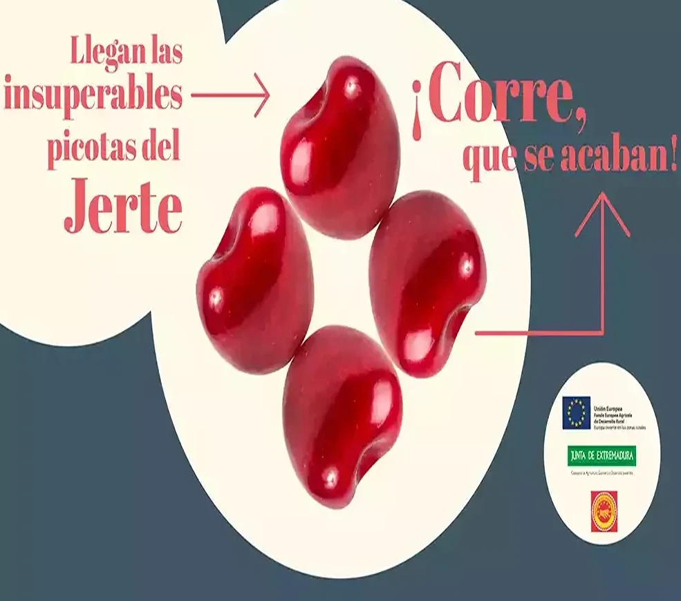 European funds support the Valle del Jerte PDO cherry initiative