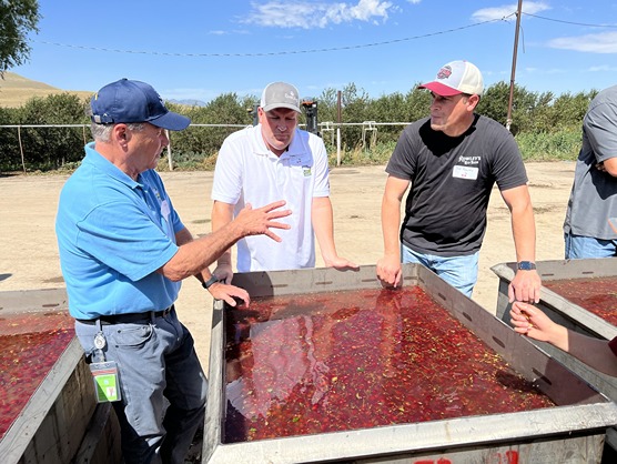 Utah tart cherries: a $7.9 million economic pillar