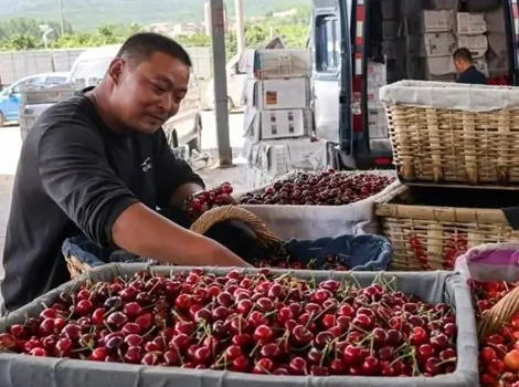 Fruittrade 2024: Economic slowdown in China and implications for Chilean cherries