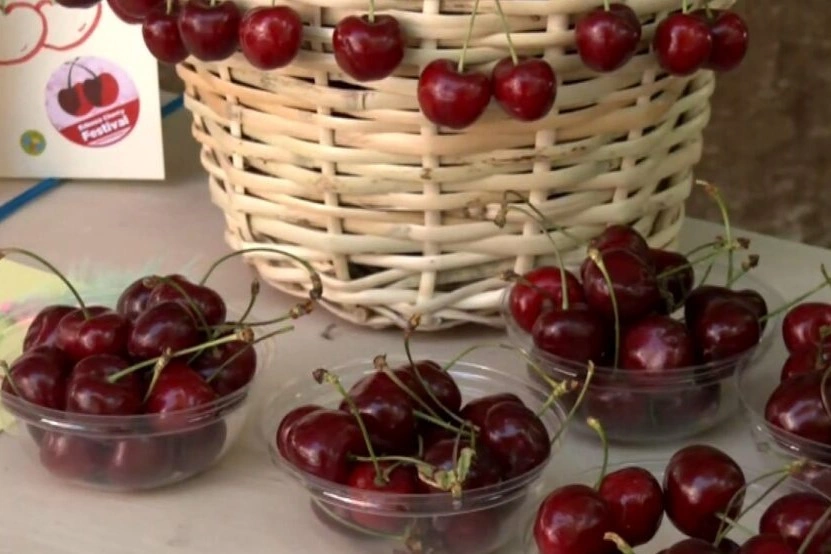 La coltivazione del ciliegio in Grecia: le origini a Edessa già nel XVI secolo