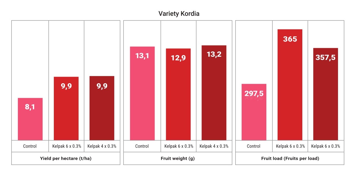 Kelpak®: cherry yields with proven results