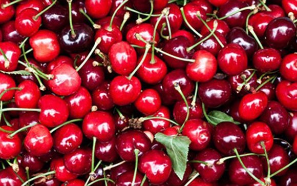 Uzbekistan cherry varieties: a prospective look
