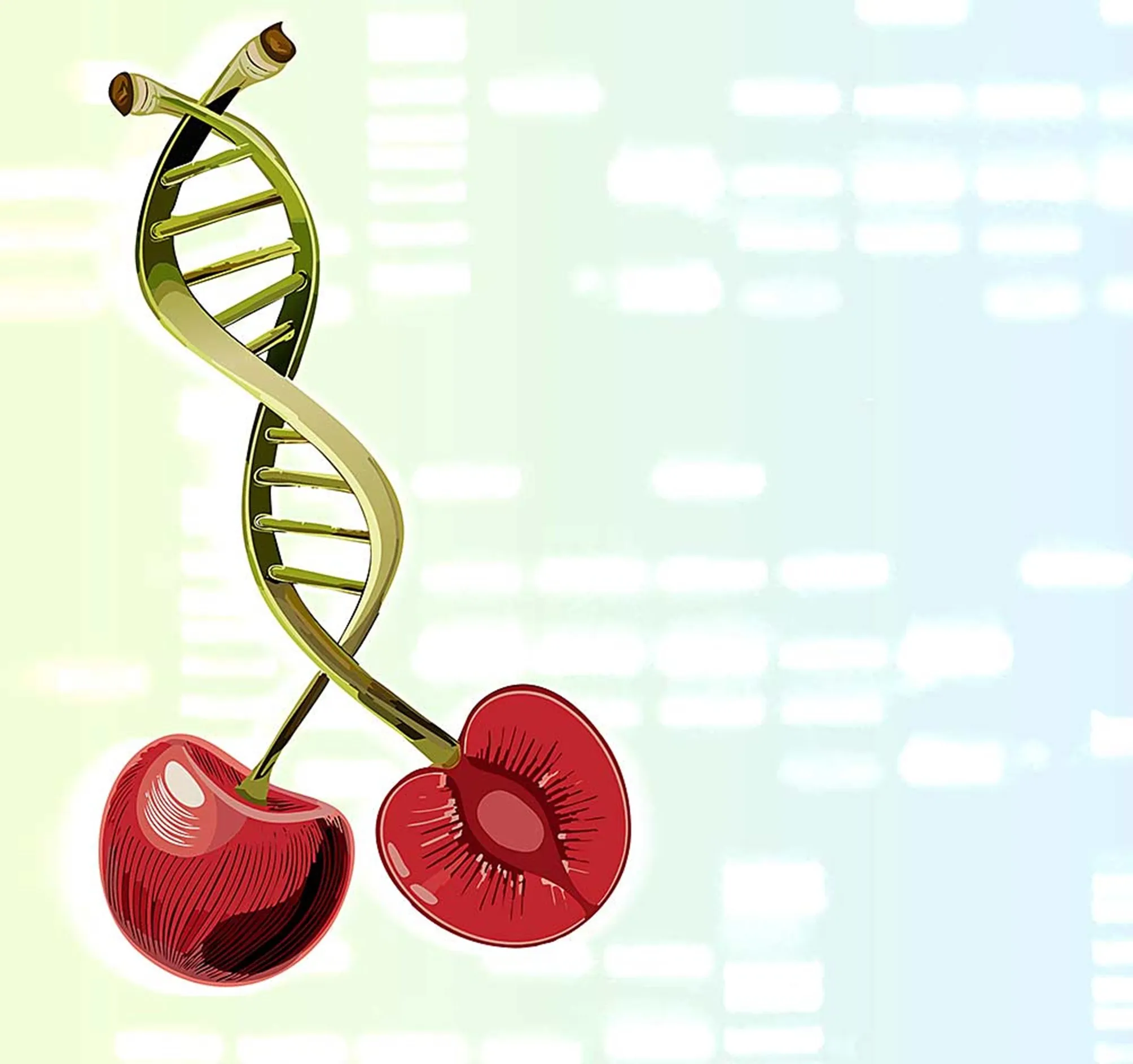 Cherries and patents: DNA screening can fight legal disputes