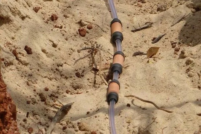 S.L.E.C.I.: il sistema irriguo innovativo che riduce i consumi idrici mantenendo resa e qualità nel ciliegio