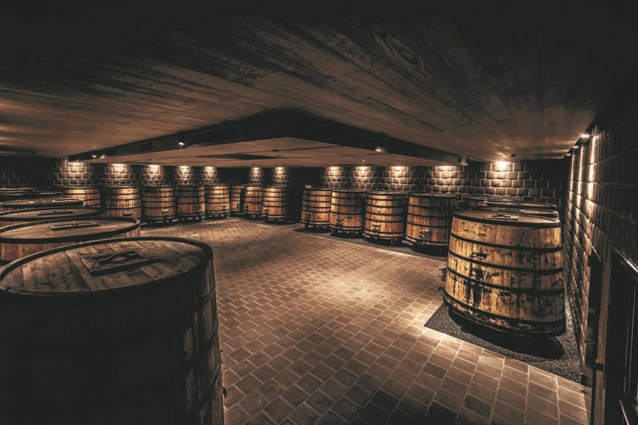 Luxardo distillery history: from Maraschino in Zara to the Euganean Hills