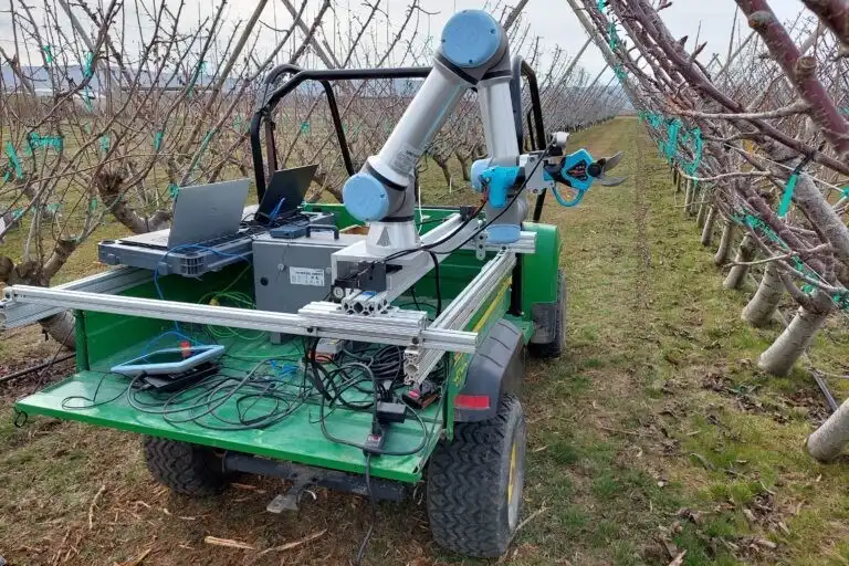 Robot e AI per potature più intelligenti nei frutteti di mele, ciliegie e mirtilli