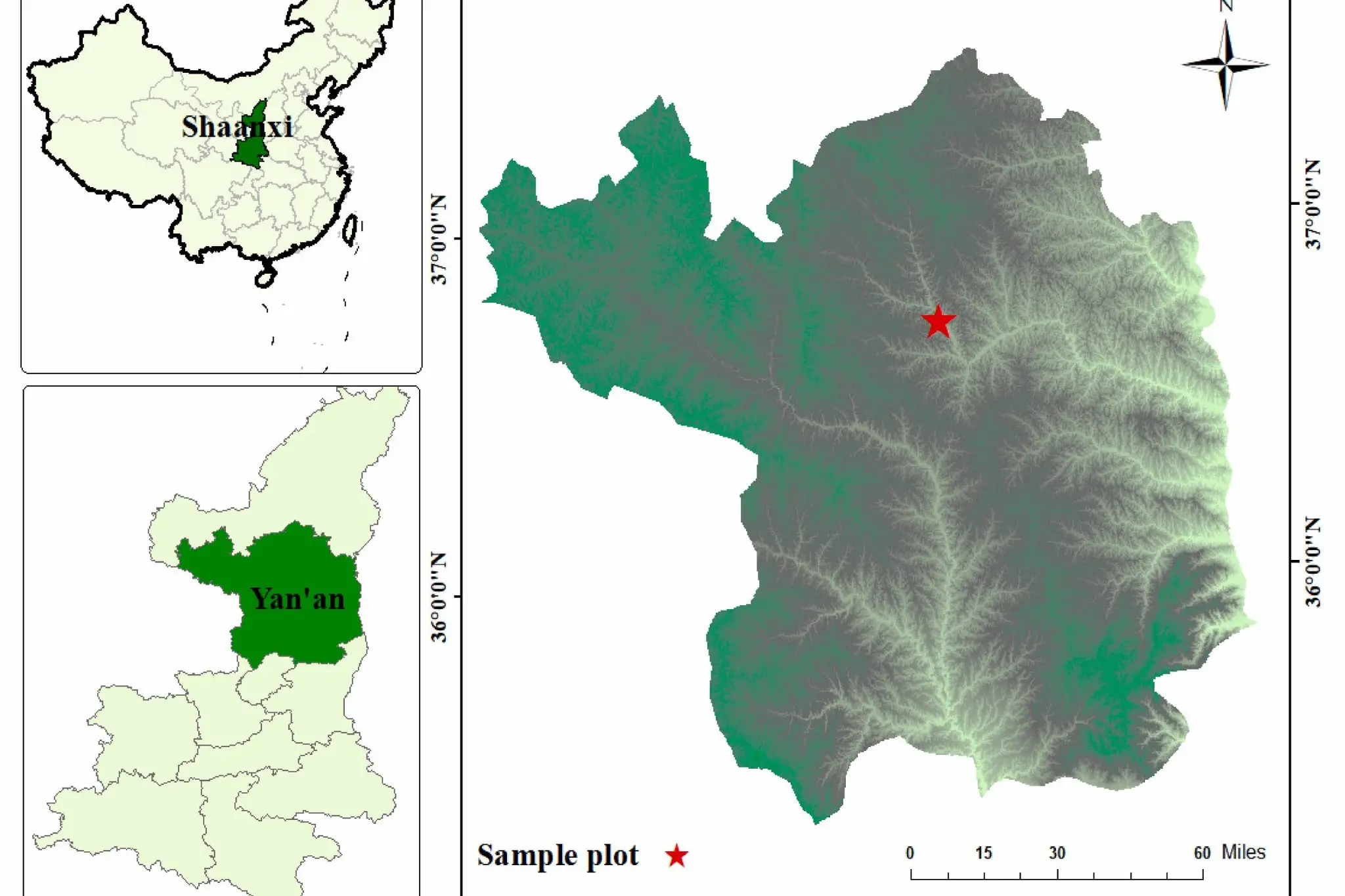Come l’età del ciliegio e la varietà influenzano la qualità del suolo in Cina