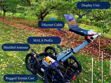 Ground-penetrating radar and artificial intelligence: a new frontier for studying plant root architecture